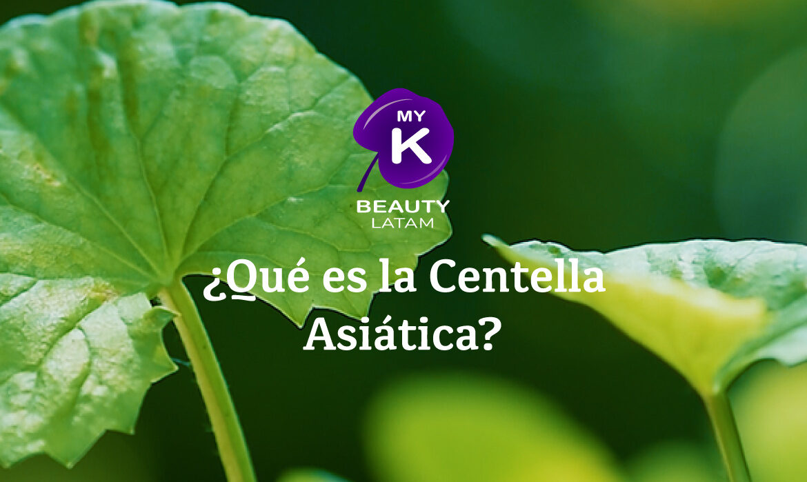 Qué-es-la-Centella-Asiática
