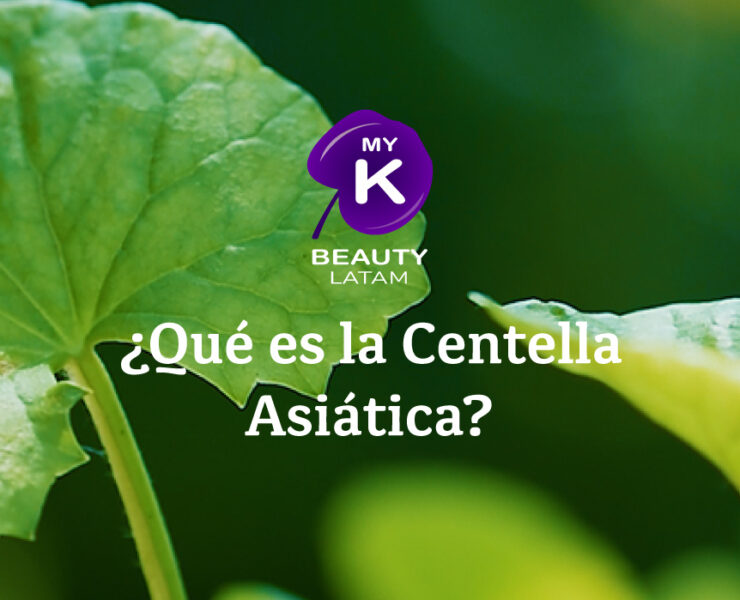 Qué-es-la-Centella-Asiática