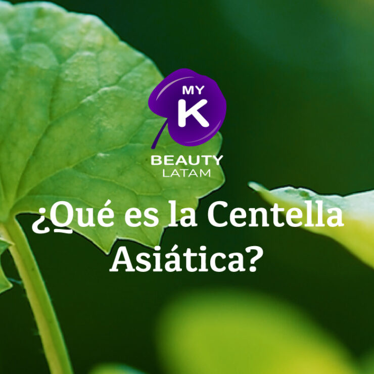 Qué-es-la-Centella-Asiática