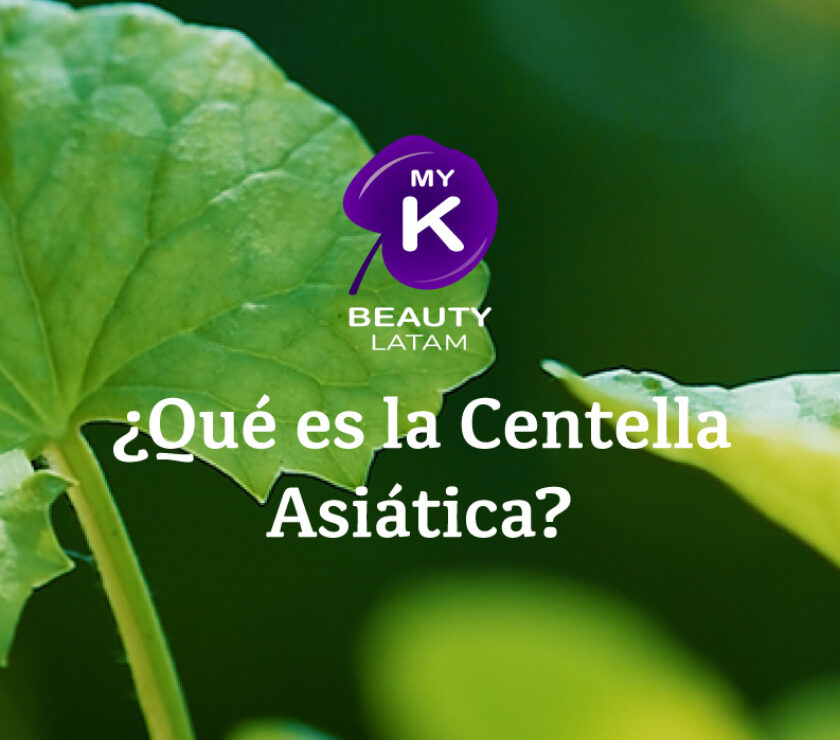 Qué-es-la-Centella-Asiática